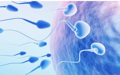 أعراض ضعف الحيوانات عند الرجل واشهر المضاعفات