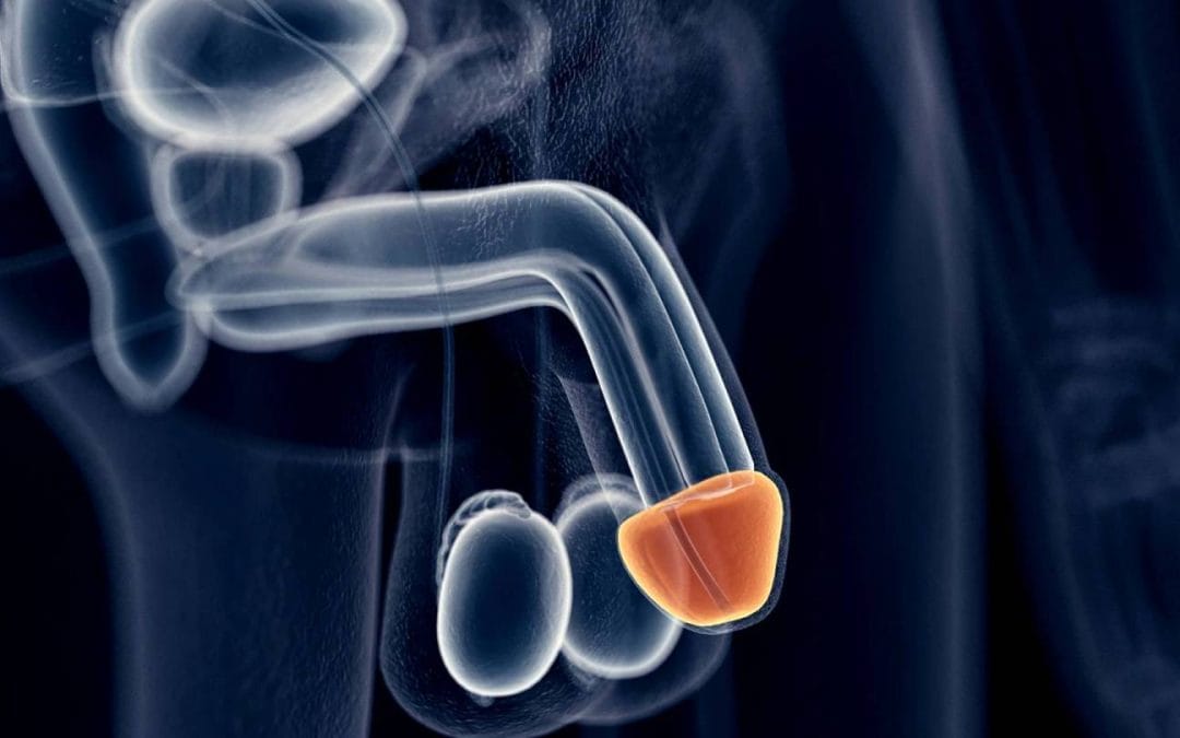 التهاب البروستاتا والانتصاب