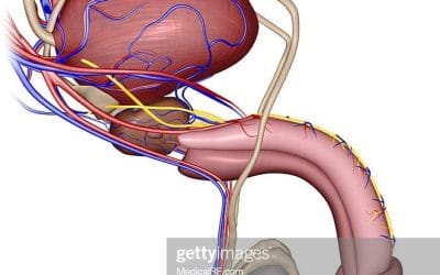 ما هي اسباب عدم الانتصاب عند الرجال؟