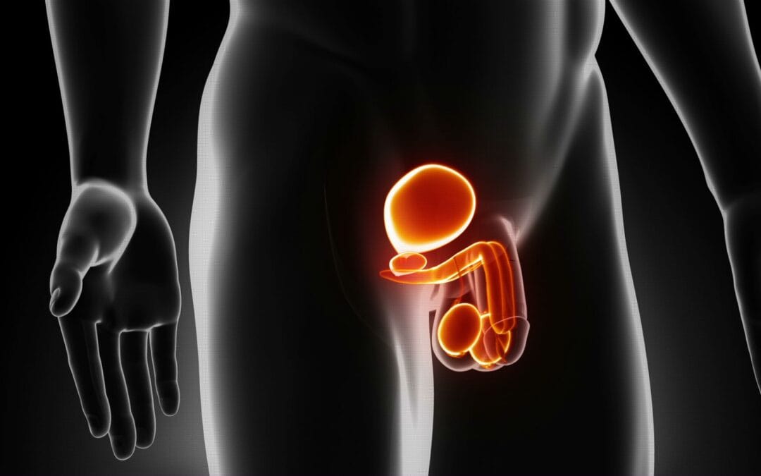 علاج انكماش الخصية