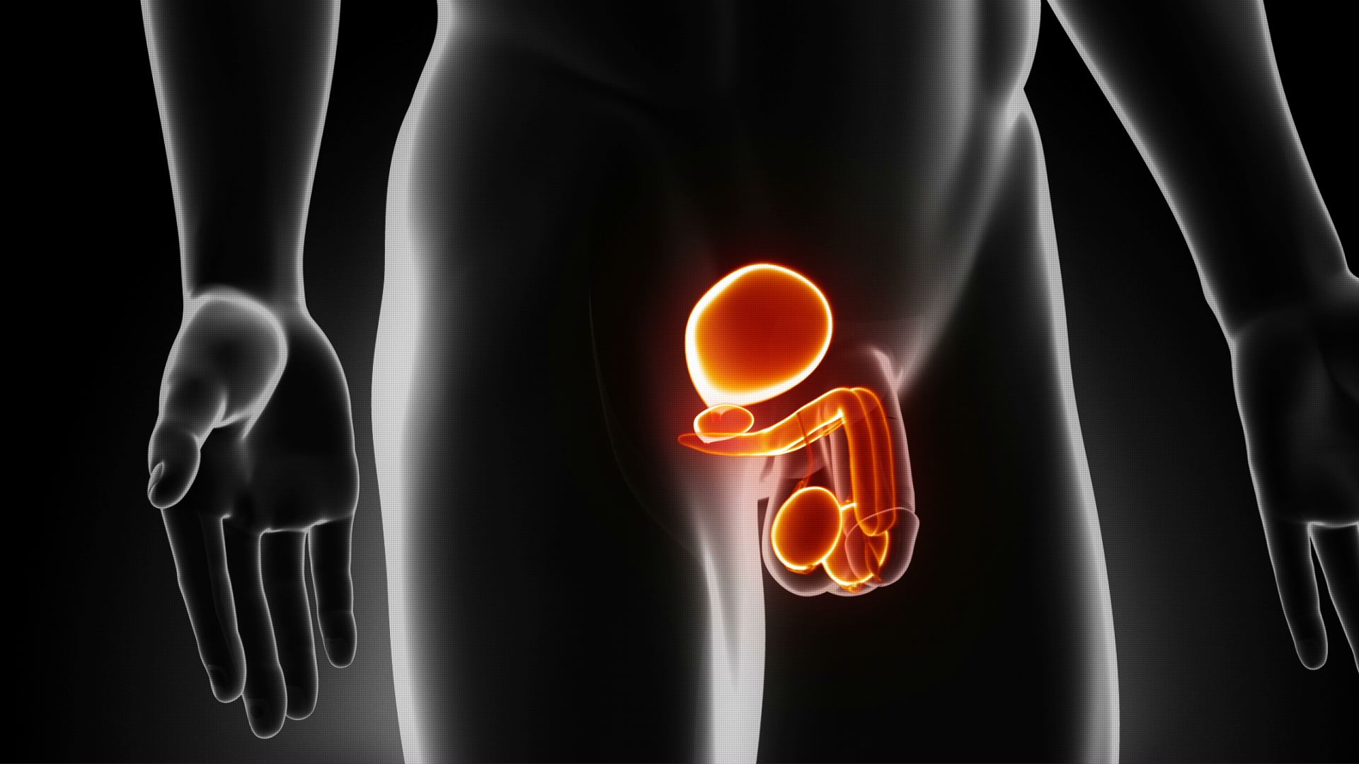 علاج انكماش الخصيتين علاج انكماش الخصية