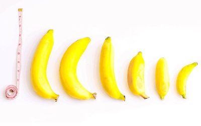 الطول الطبيعى للعضو الذكرى