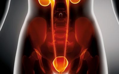 اسباب وجود حرقان في البول