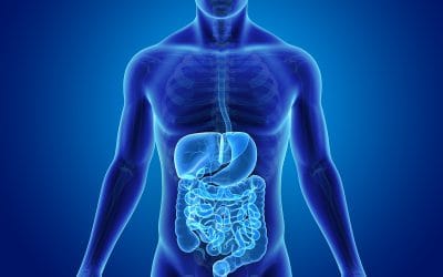 ما هي أسباب الضعف الجنسي؟