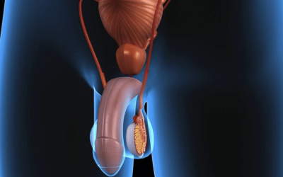 أسباب الم في الخصية اليسرى