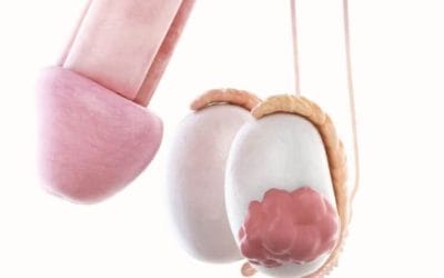 الم في الخصية اليمنى – أهم الأسباب والأعراض