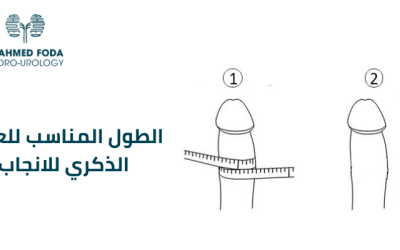 الطول المناسب للعضو الذكري للانجاب