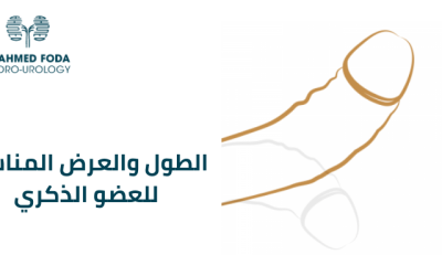 الطول والعرض المناسب للعضو الذكري