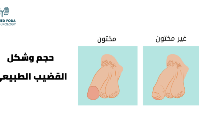 شكل القضيب الطبيعي وحجمه!